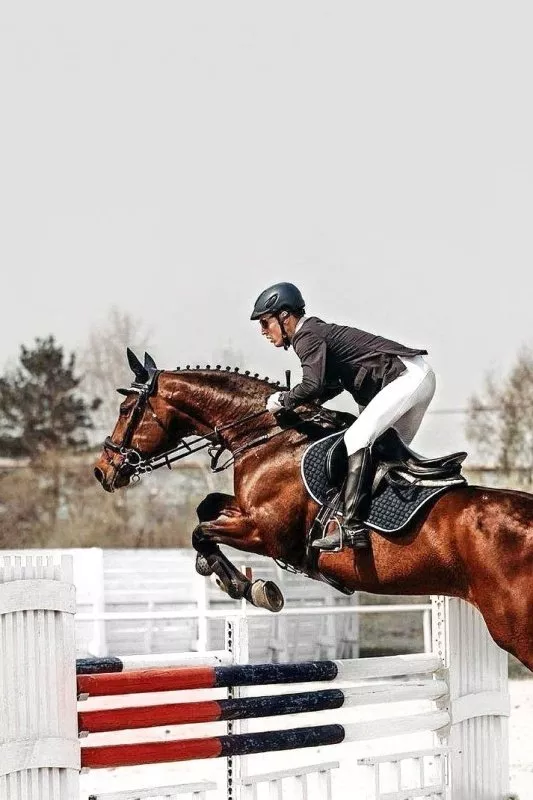 Конноспортивный клуб «Олимпия»