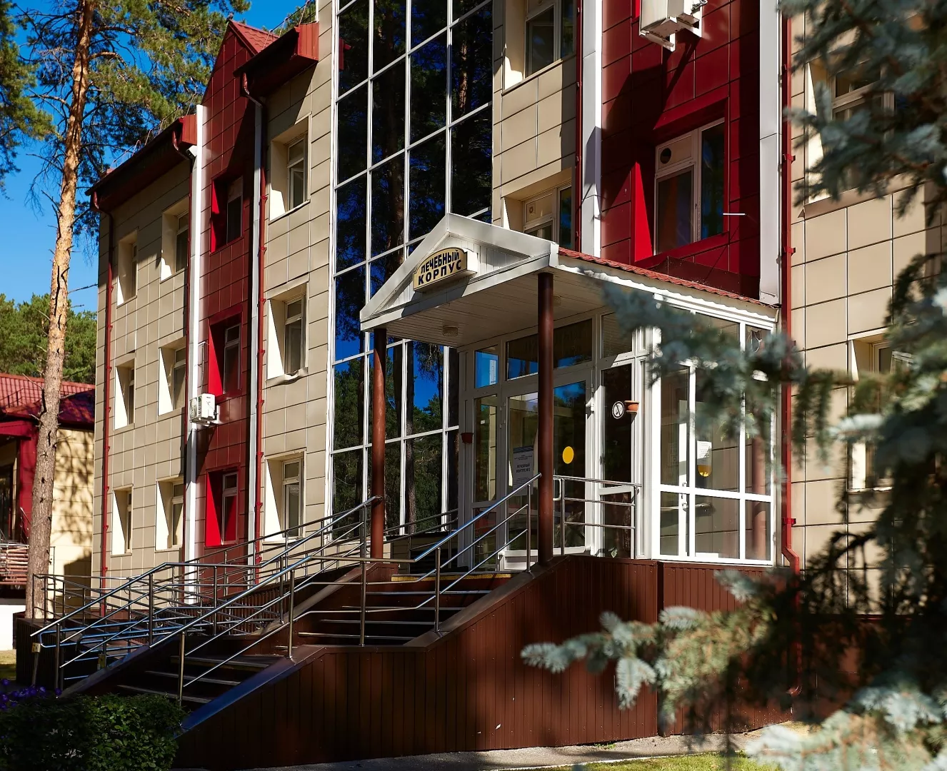 Центр оздоровления и реабилитации «Красная гвоздика»