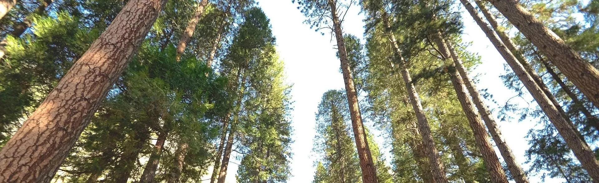 Загородный клуб «Хлеб Соль»