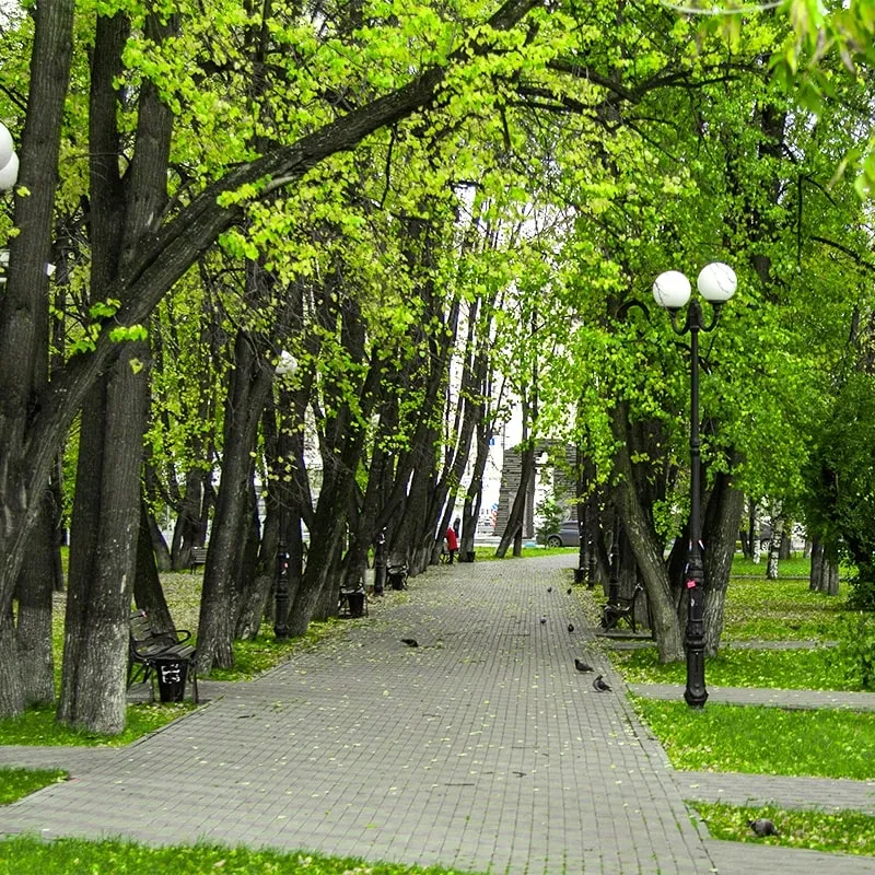 Сквер Семена Пацко