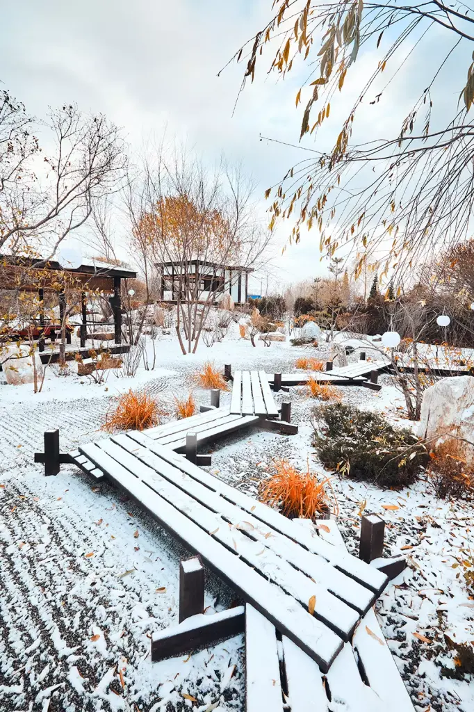 ЗИМА Очаровательная Тюмень 3-3