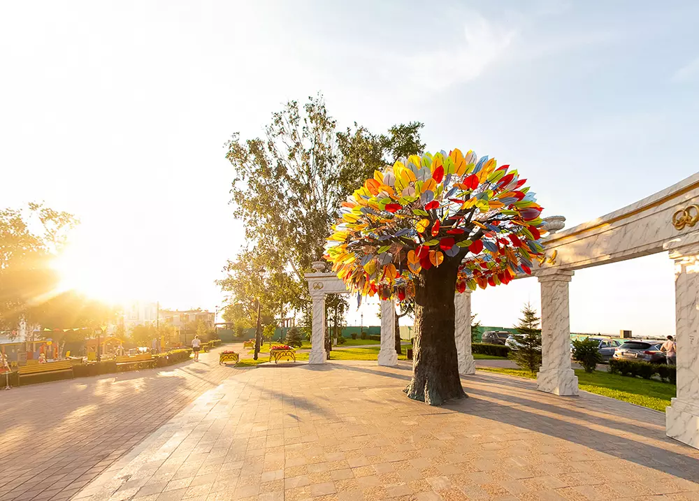 7 ЛЕТО Борцов революции дерево