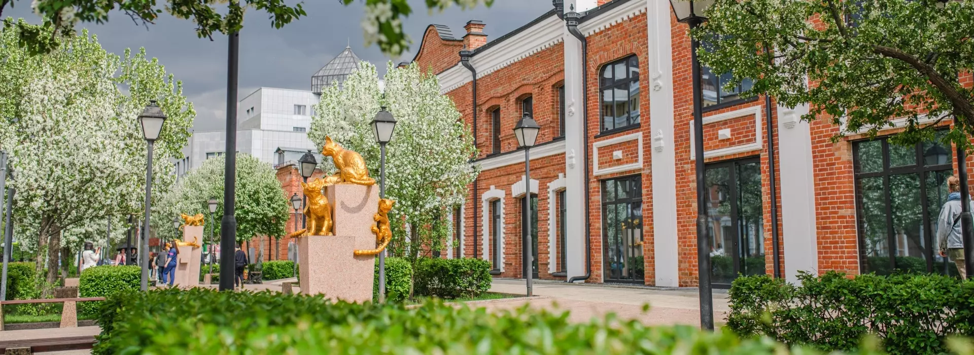 Слайд 3 - сквер кошек