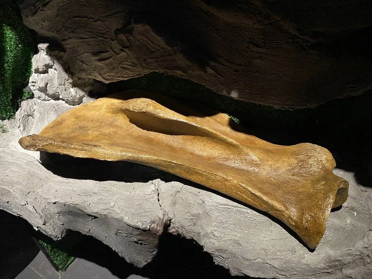 Настоящая пещера и скелет мамонта 6