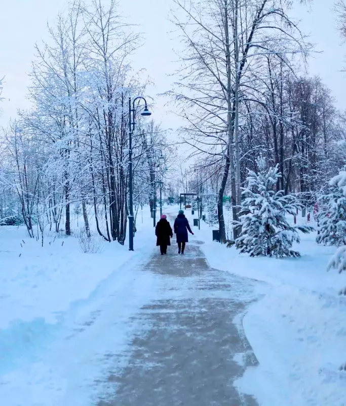 Аптекарский сад