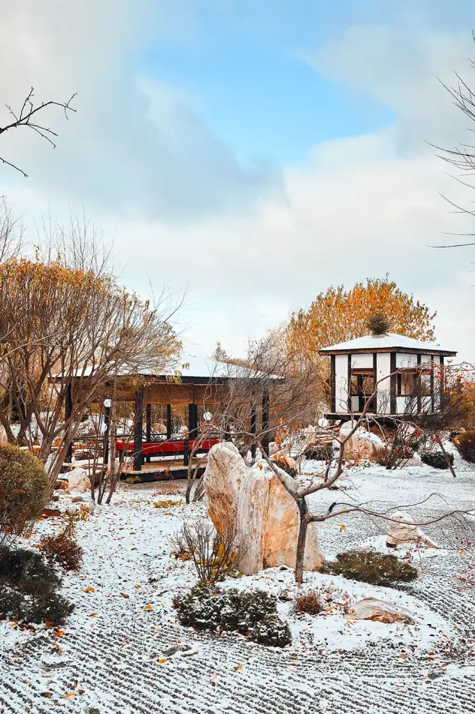 ЗИМА Очаровательная Тюмень 3-1