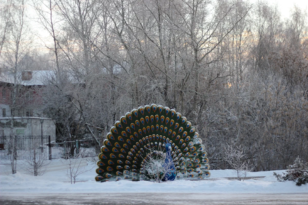 памятник16-2