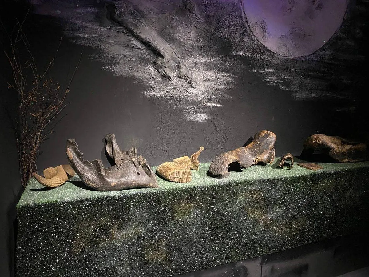 Настоящая пещера и скелет мамонта 3
