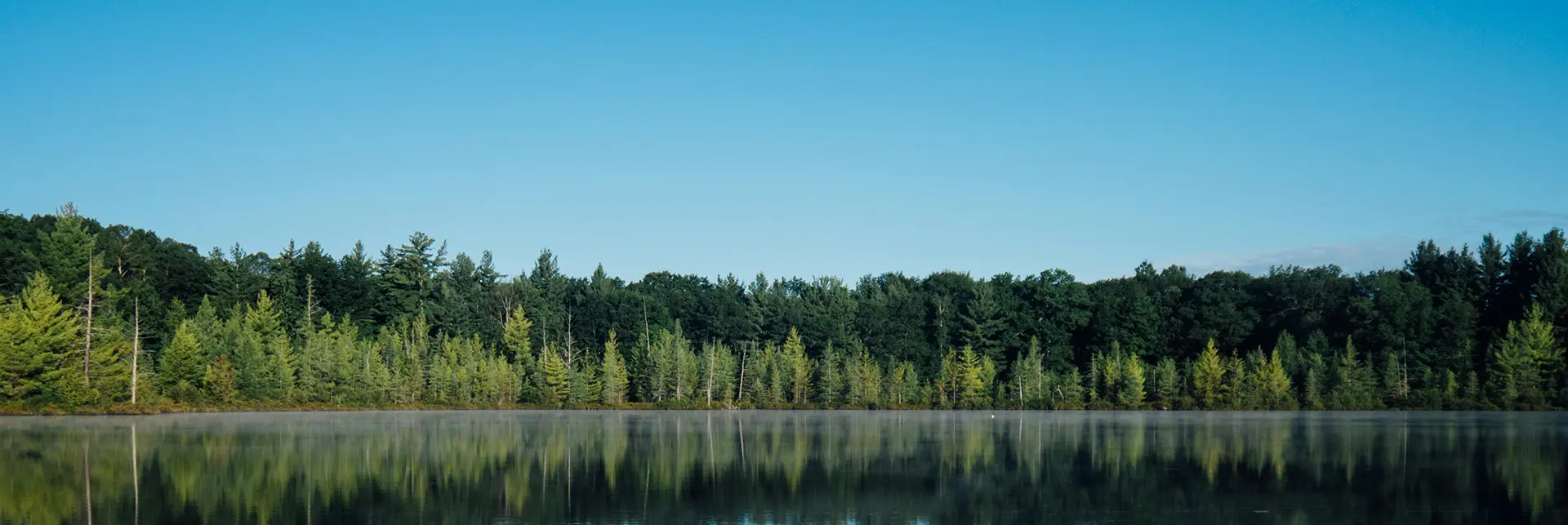 База отдыха «Велнес центр»