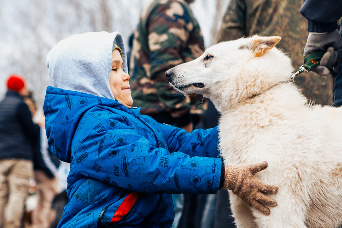 фотография - 1