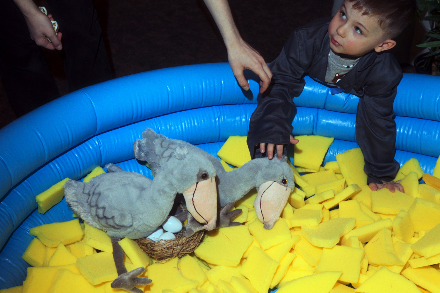 фотография - 1