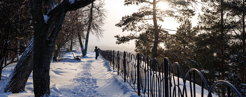                             Парки и сады                          