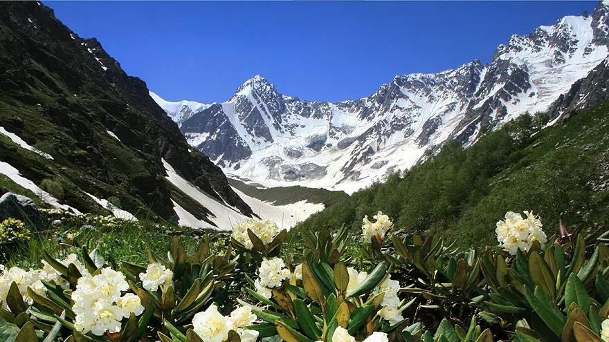 Железнодорожный круиз «Жемчужина Кавказа» - картинка 1