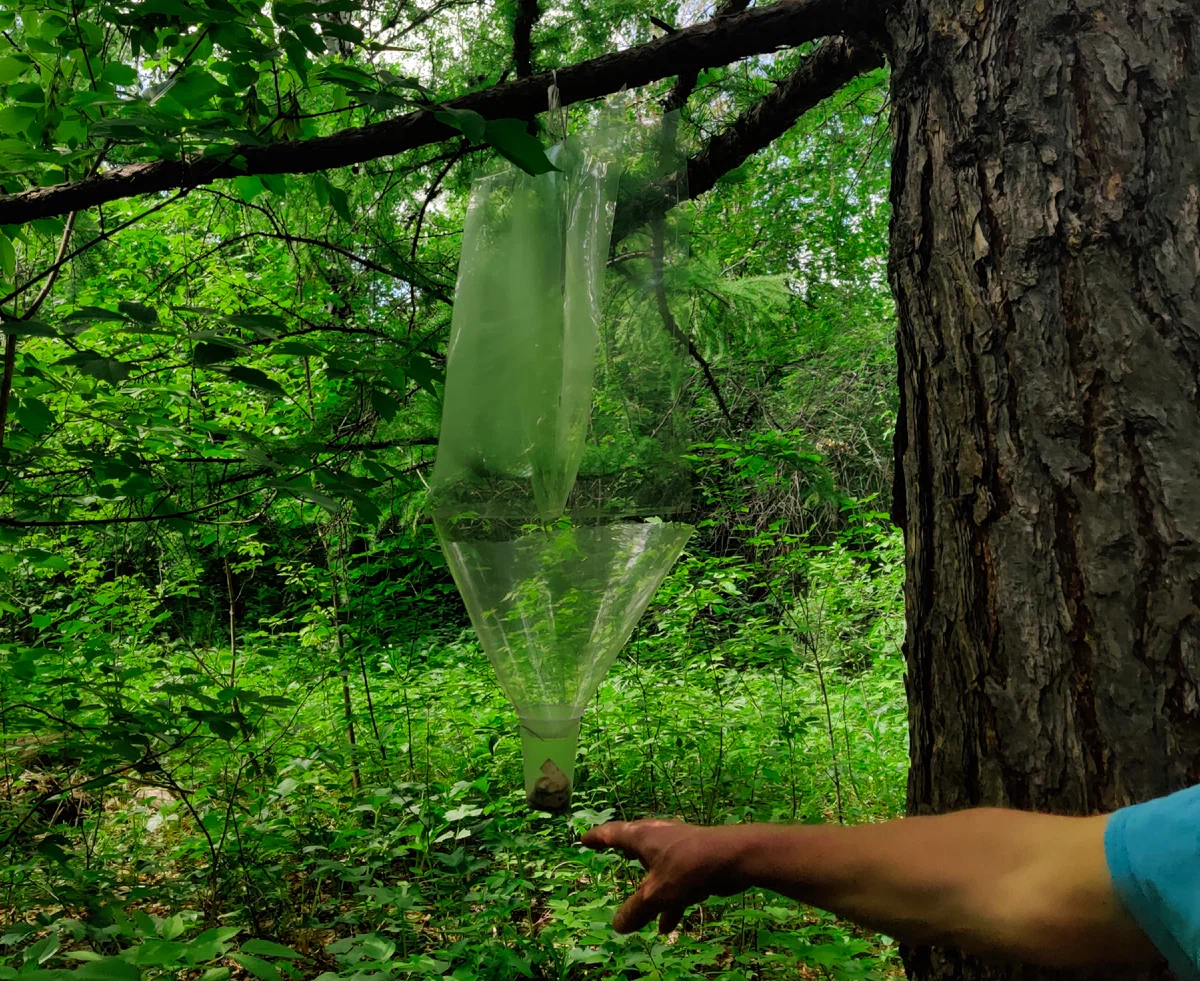 дендропарк3-5