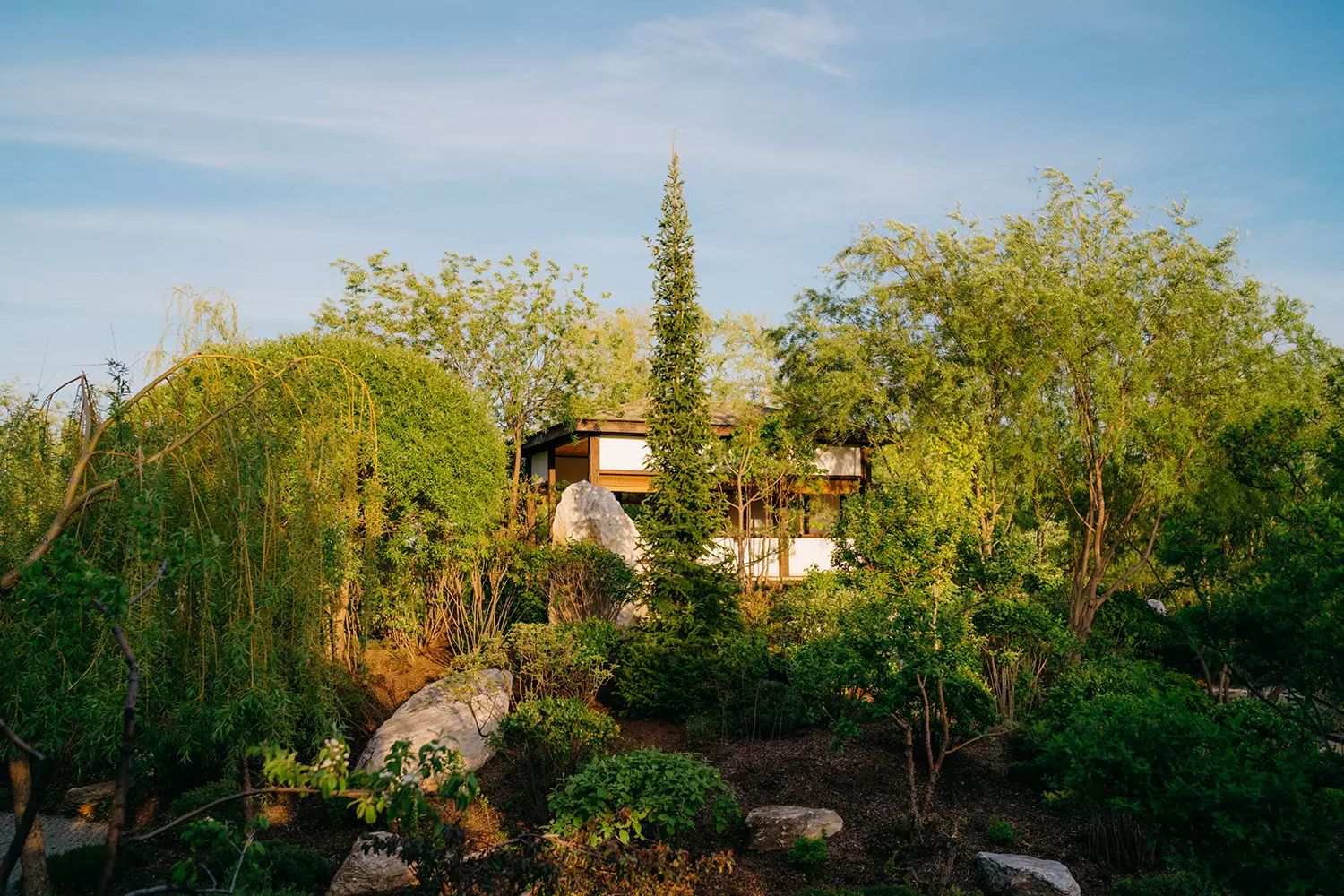 Японский сад «Ива-парк»