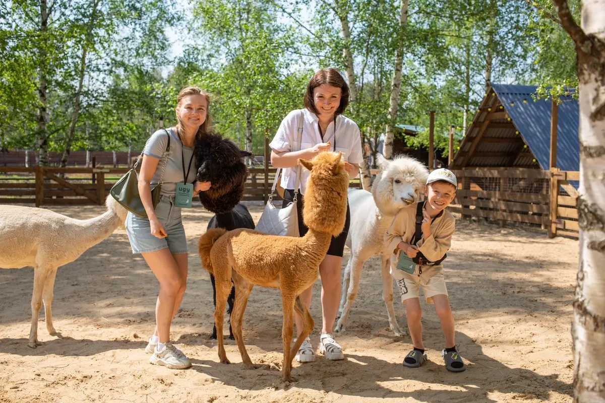 Парк альпак «Пача Мама»