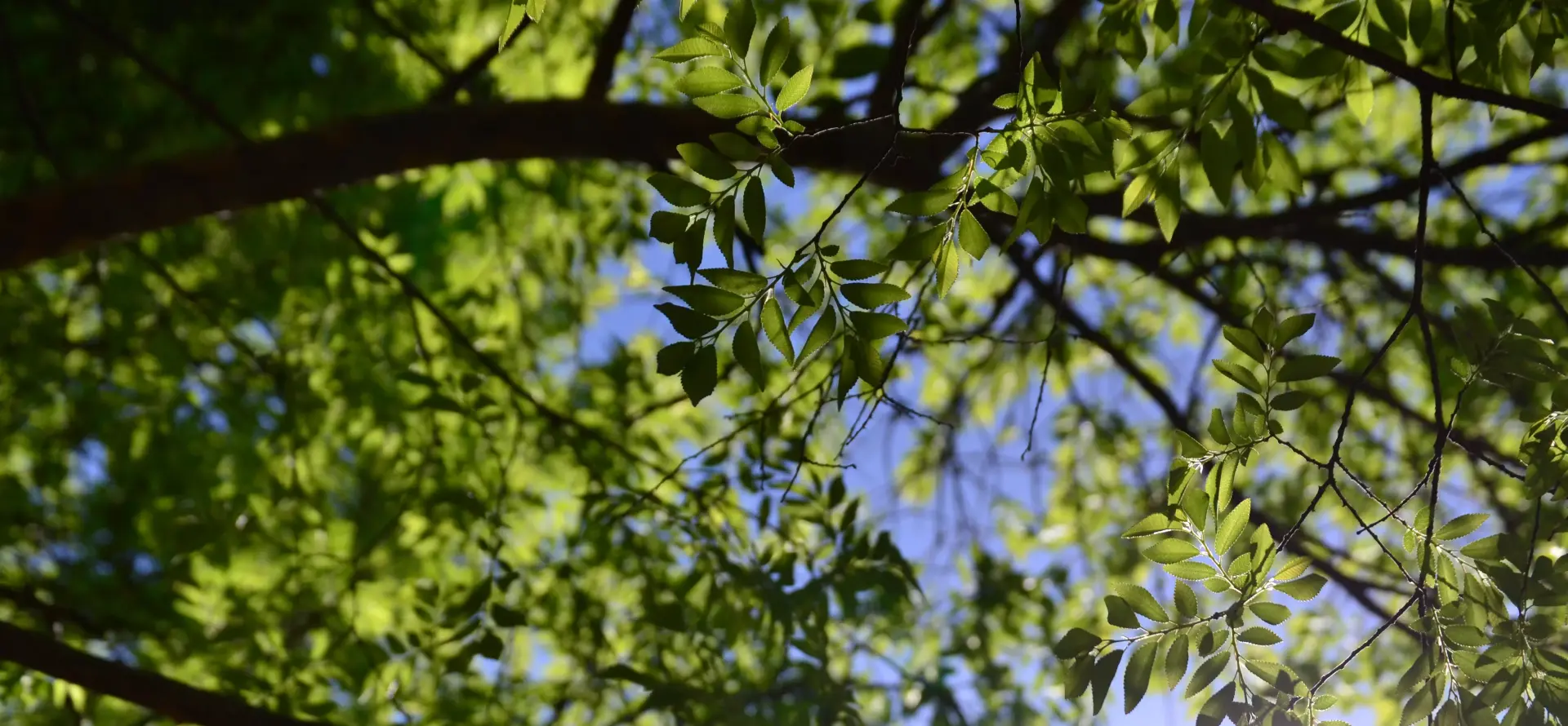 Санаторий «Ахманка»