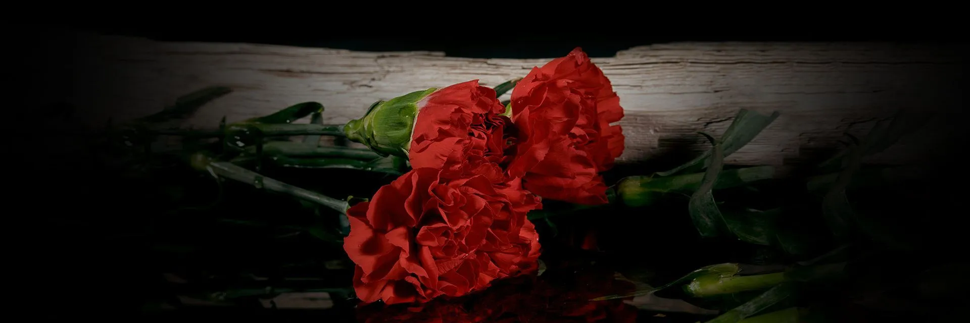 Экскурсия «Эхо войны»