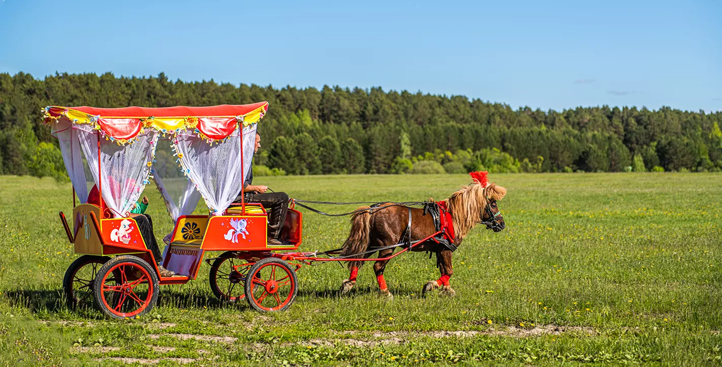 Экскурсия на агротуристический комплекс «Золотая подкова»