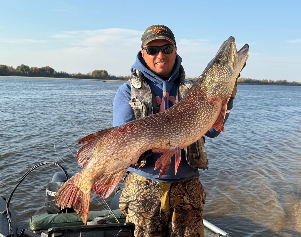 фотография - 1