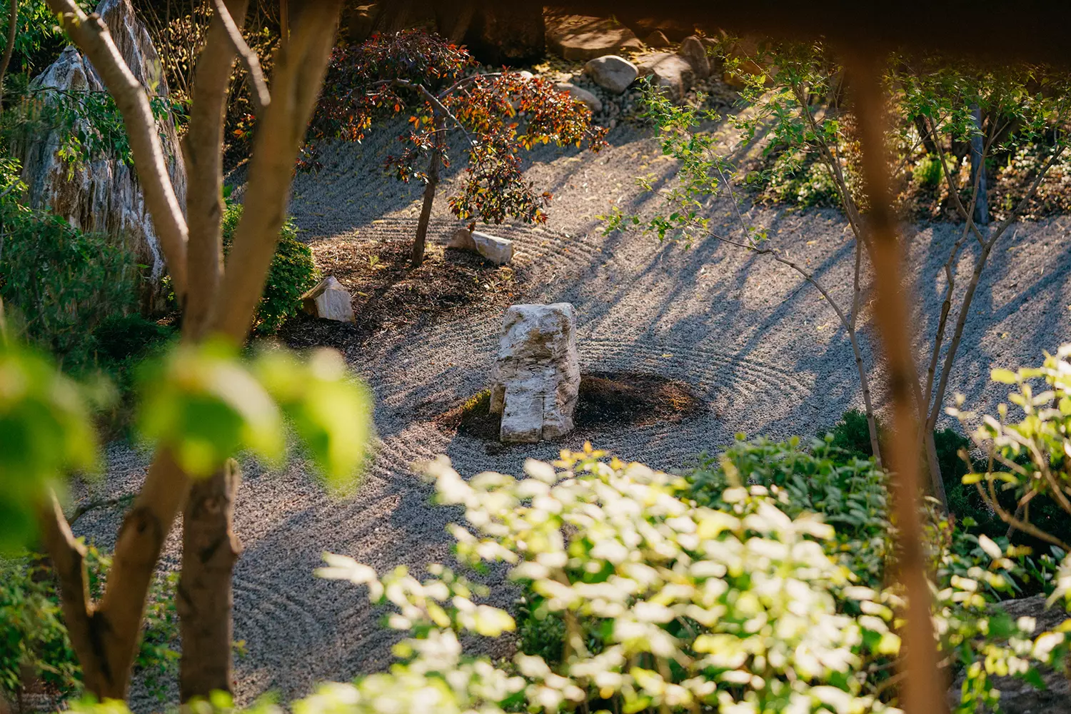 Японский сад «Ива-парк»