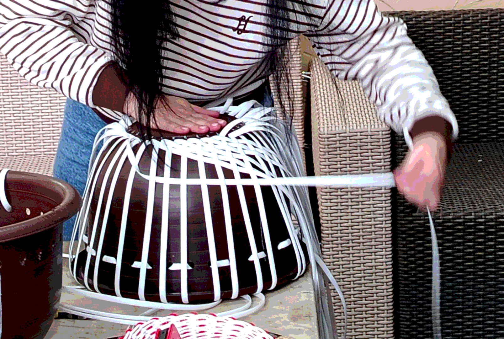 фотография - 2