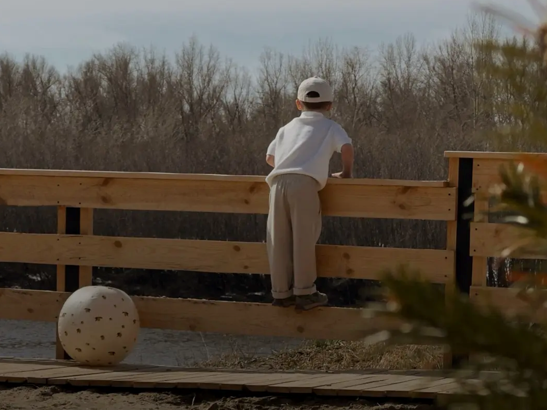 Гостевые дома «Панорама»