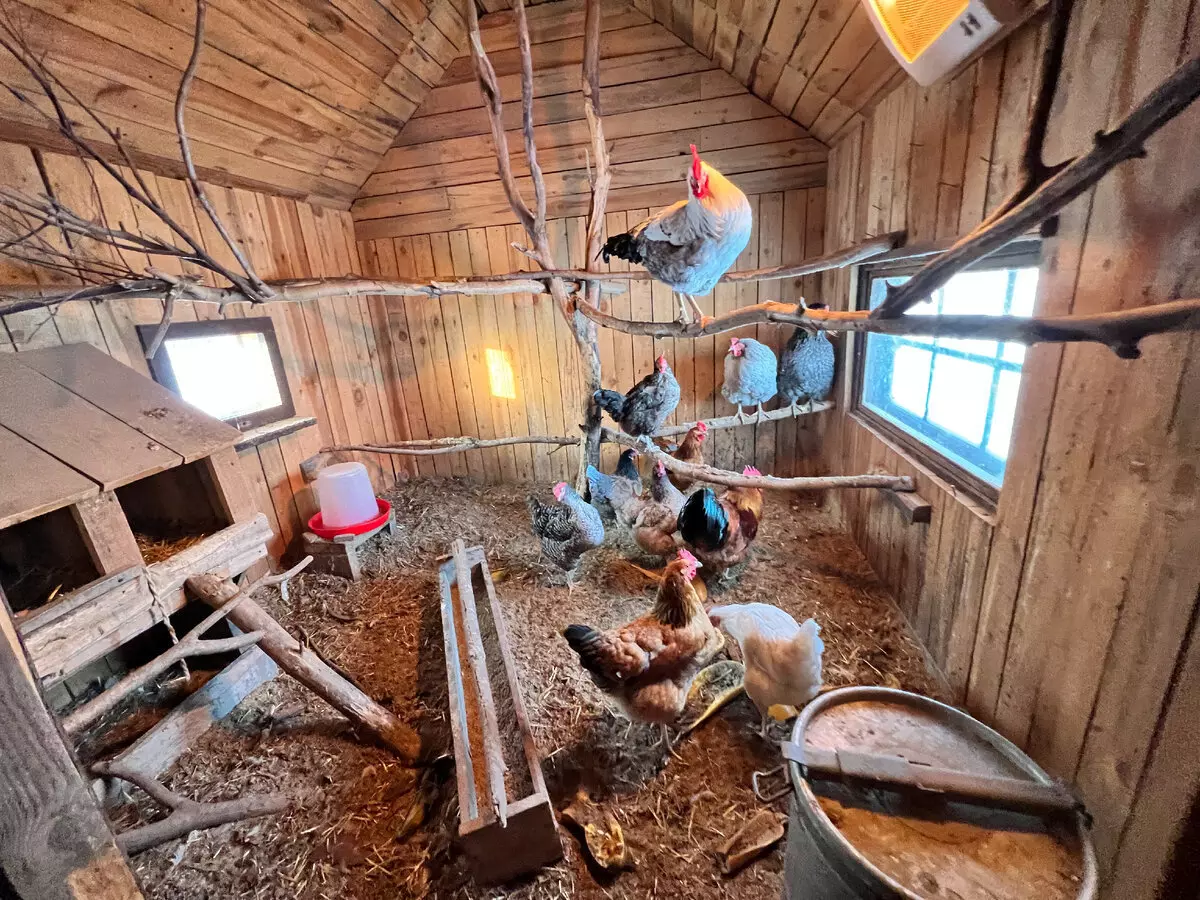 Нашла домик для фотосессий 5