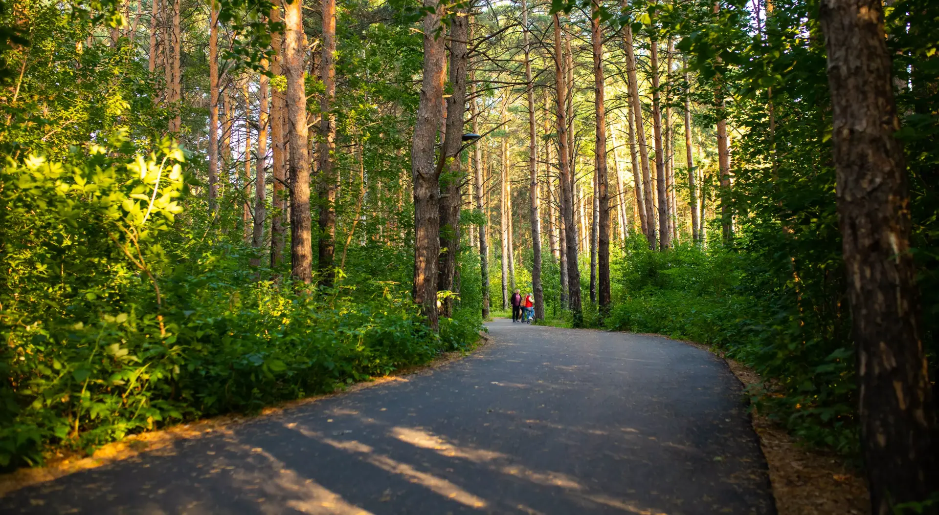 Экопарк «Затюменский»