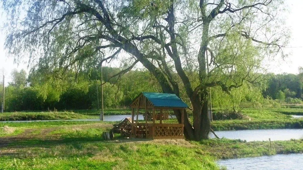 Клевое место 4