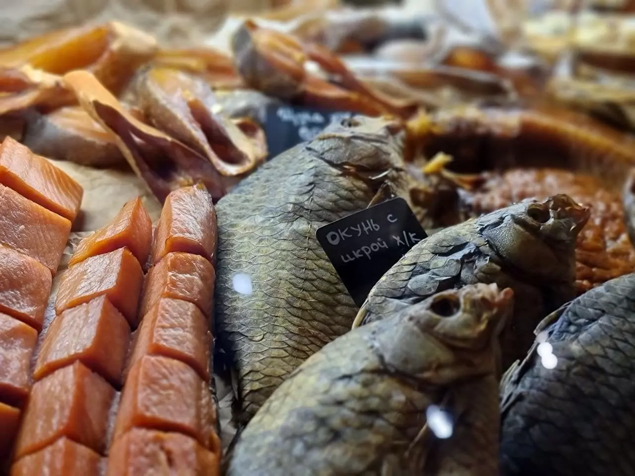 ермолаев-1-5