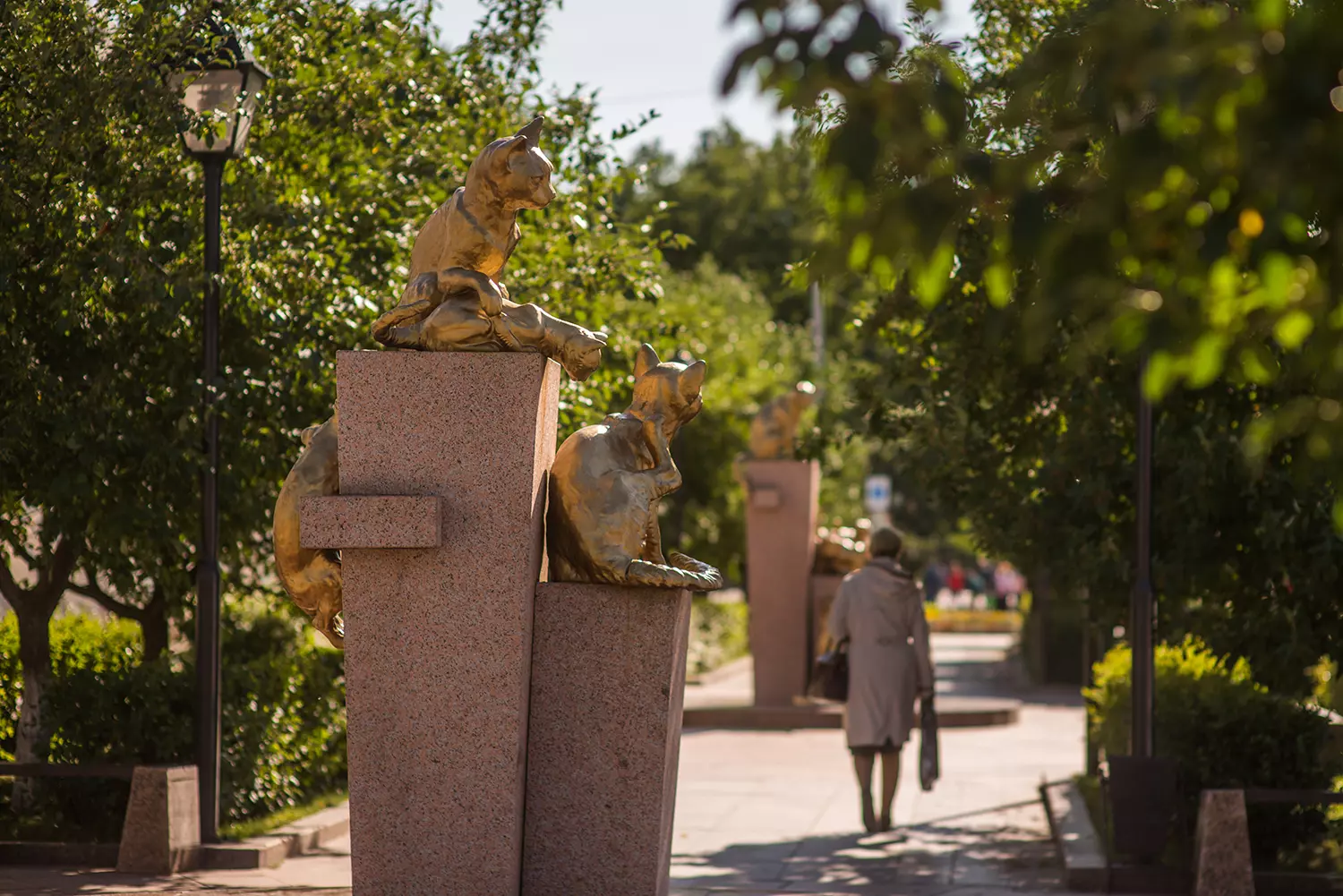 Сквер Сибирских кошек