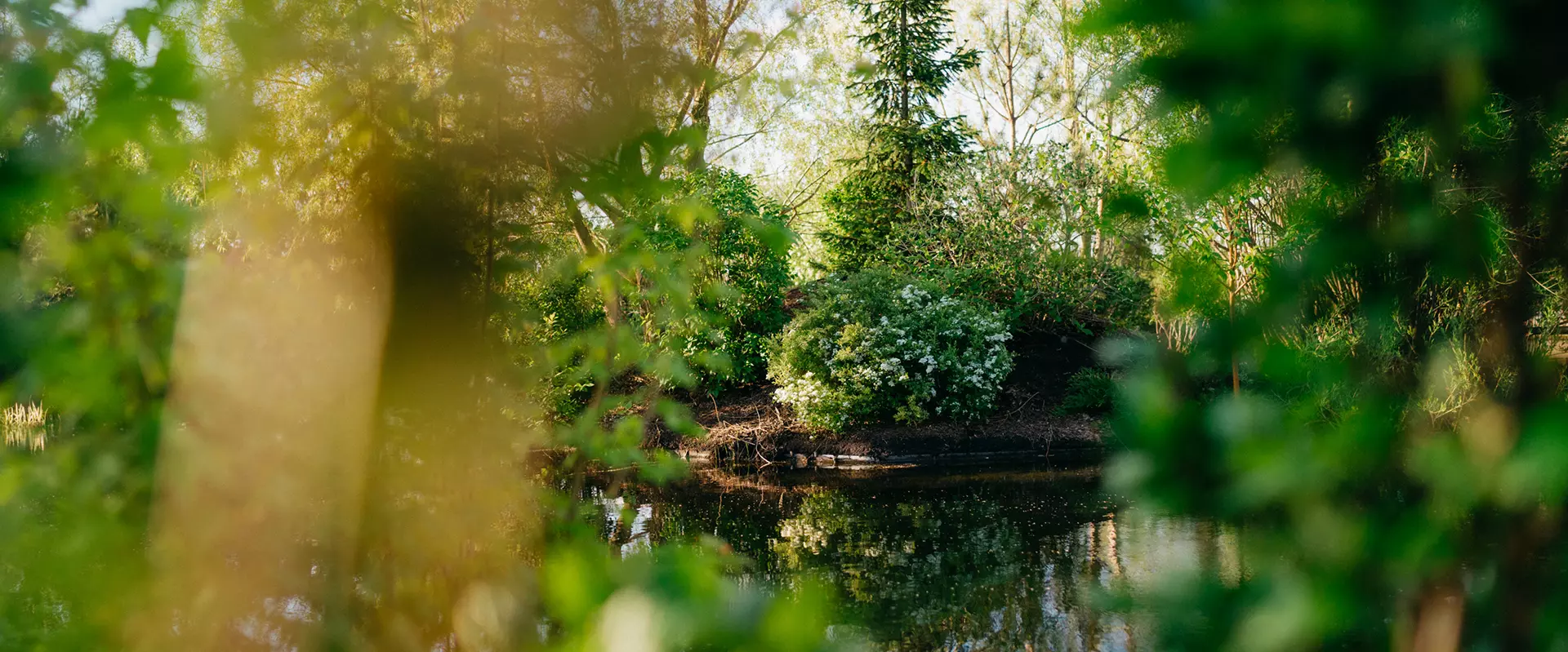 «Ива Парк» и я: побывала в уникальном месте Сибири и Урала