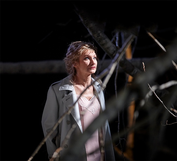 Серия мероприятий «Сибирские сезоны в Тобольске»