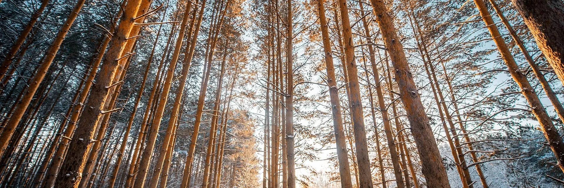 Куда сходить с детьми в Тюмени, пока город спит: топ мест для утреннего досуга