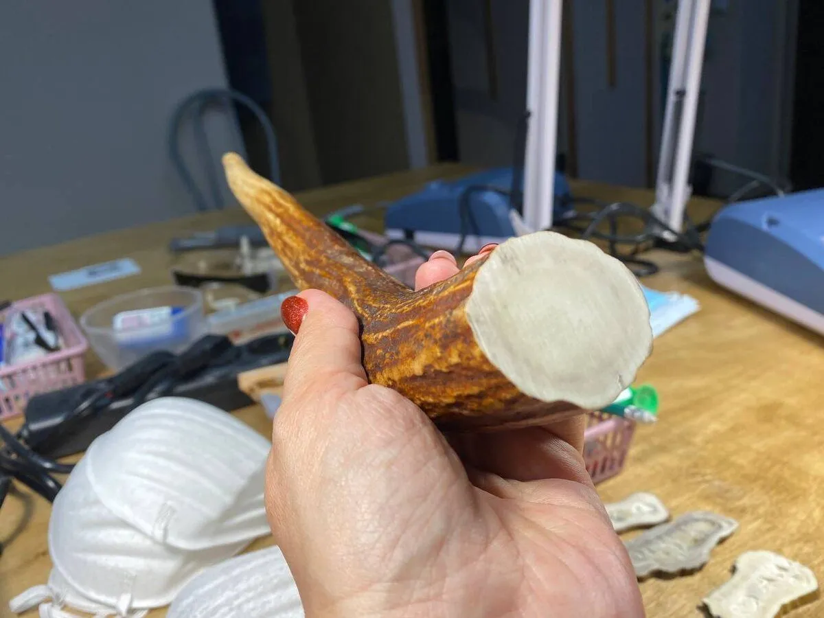 Настоящая пещера и скелет мамонта 8