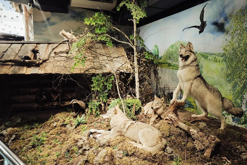 Природный парк «Юрибей»