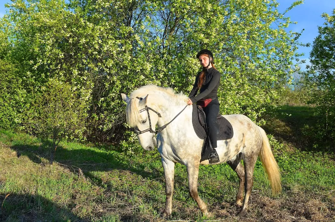 Конный клуб «Пегас» в Заводоуковске