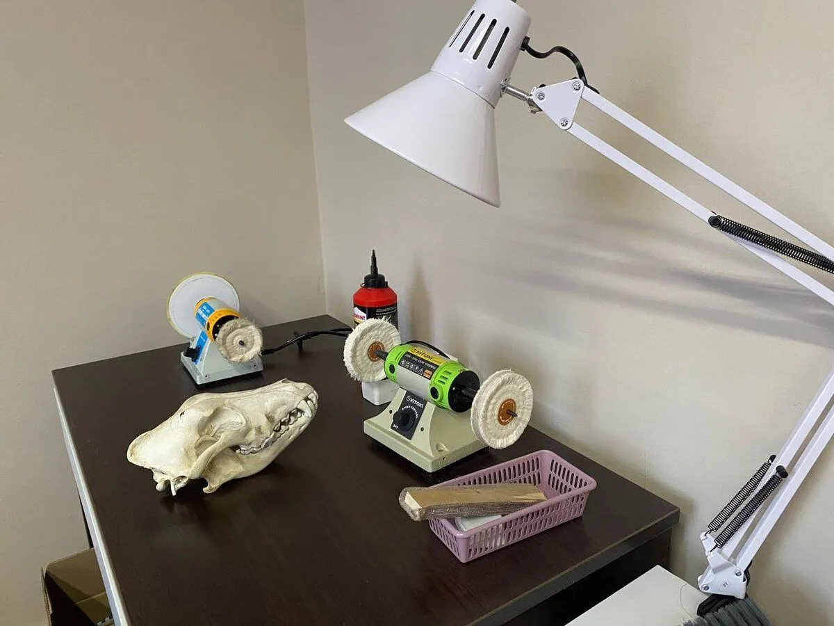 Настоящая пещера и скелет мамонта 7