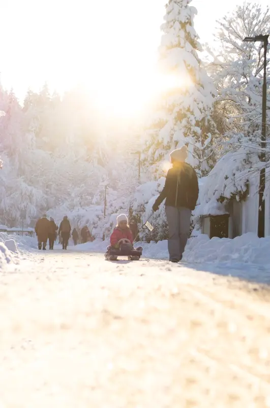 База отдыха «Боровое»