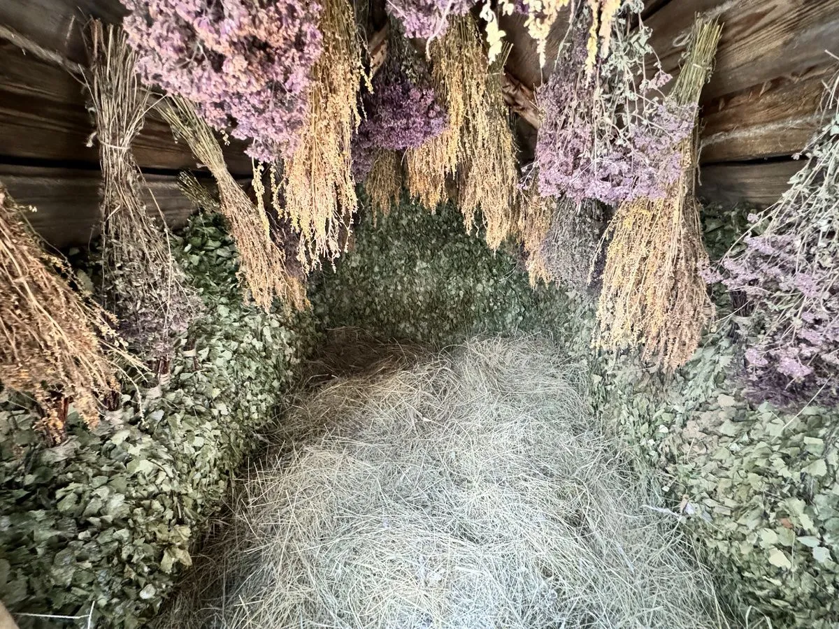 Парение в Сибирских хоромах 12