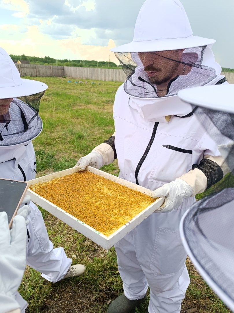 Экскурсия «Едем к полосатым» - картинка 1