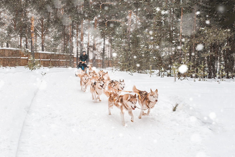 Зимние развлечения в Тюмени и за городом