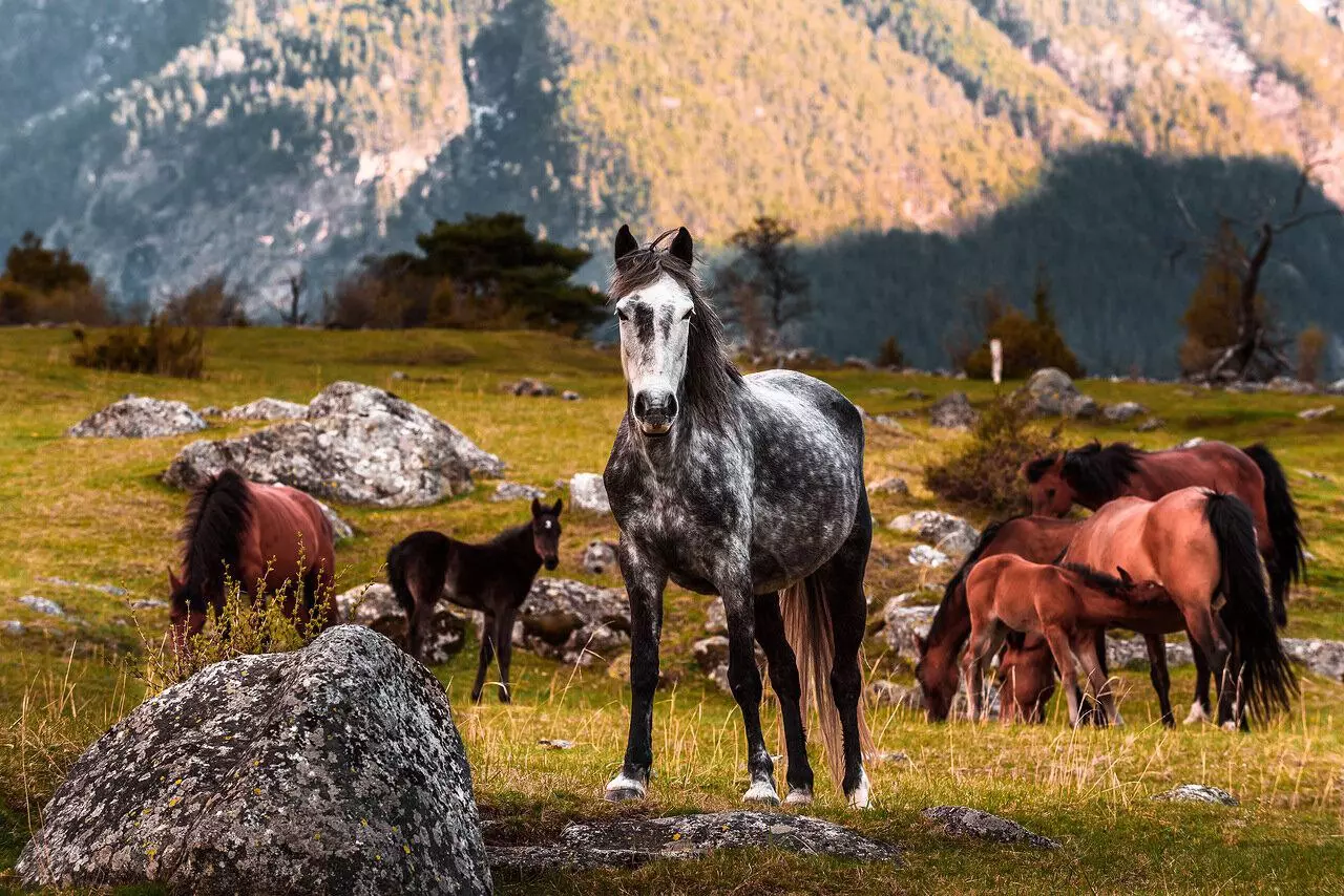 Железнодорожный круиз «Жемчужина Кавказа» - картинка 1