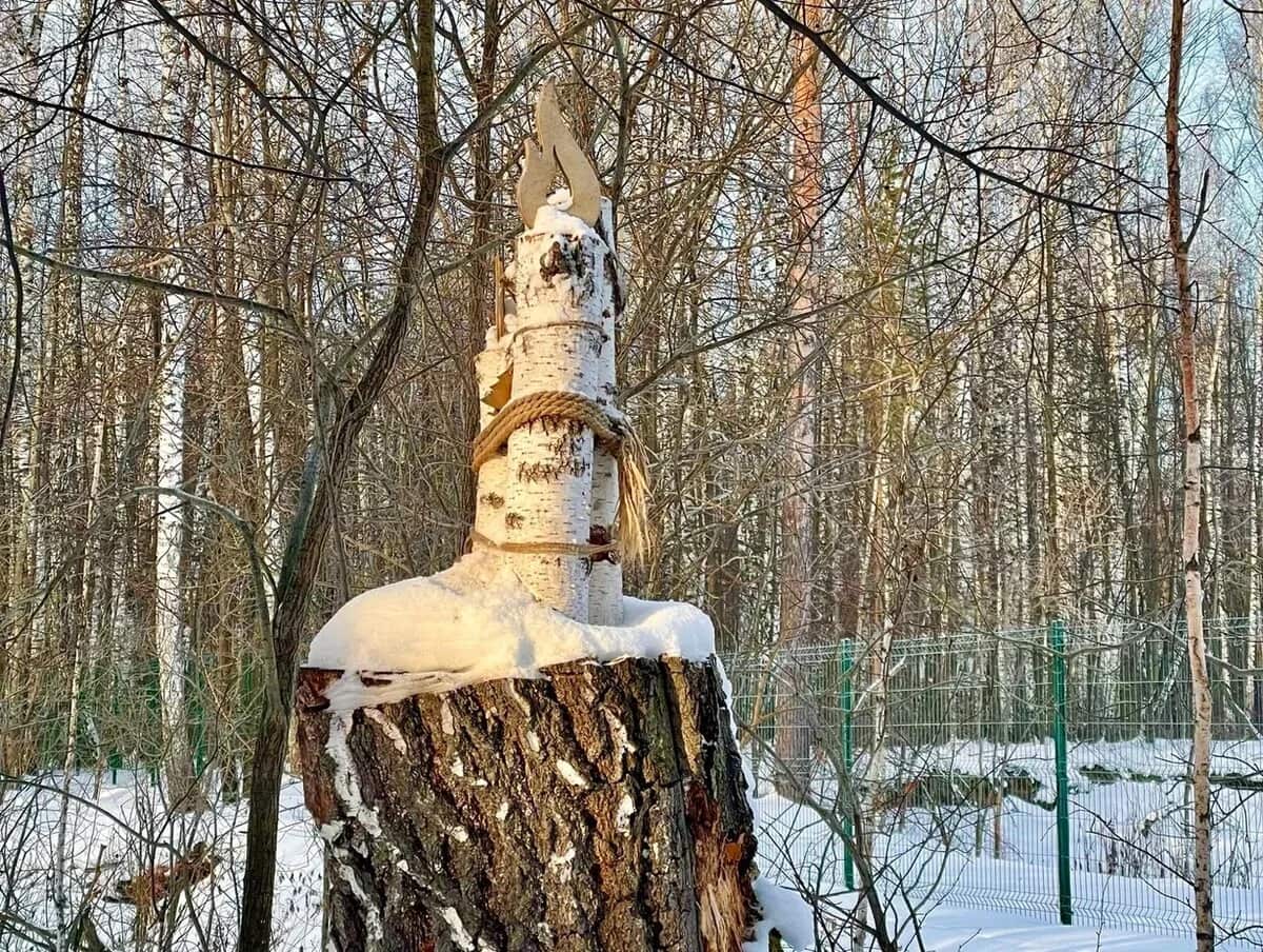 Лесная история 11