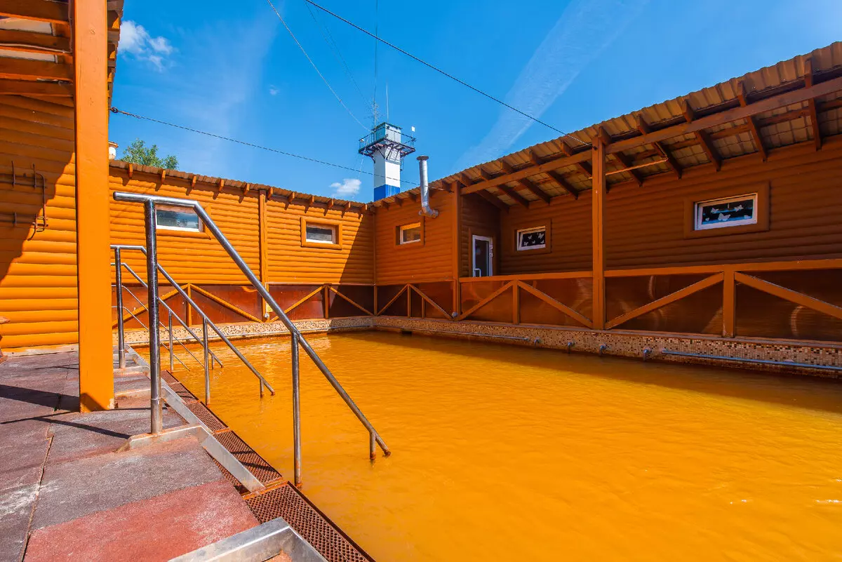 сосновый бор 