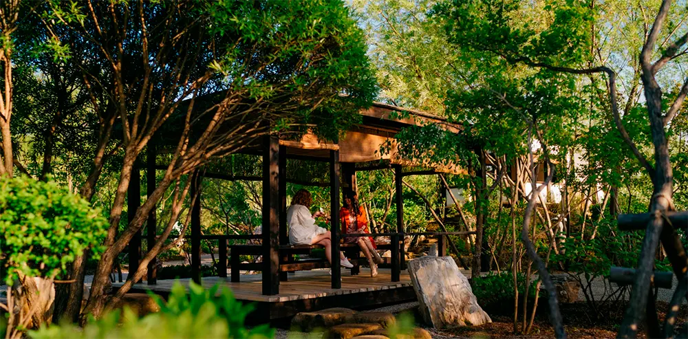 Экскурсия в «Ива-парке» - картинка 1