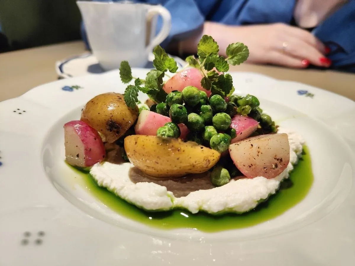 Radis в Тюмени 9