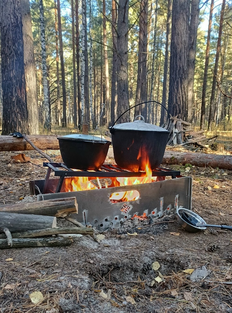 Семейный поход с игрой «99 ночей в лесу» - картинка 1