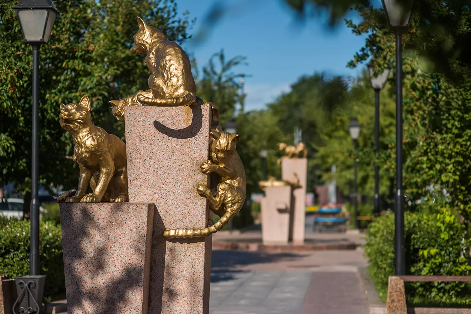 Сквер Сибирских кошек